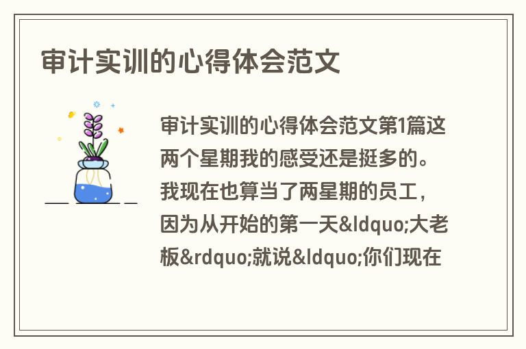 审计实训的心得体会范文