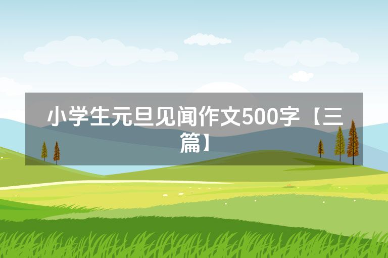 小学生元旦见闻作文500字【三篇】