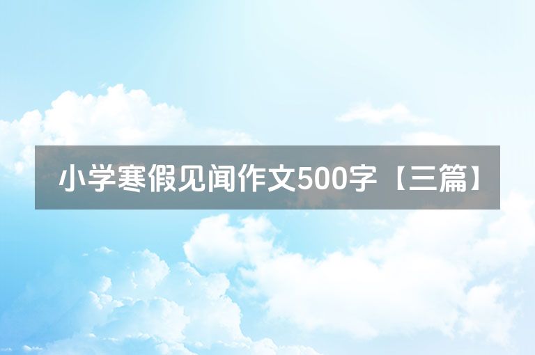 小学寒假见闻作文500字【三篇】
