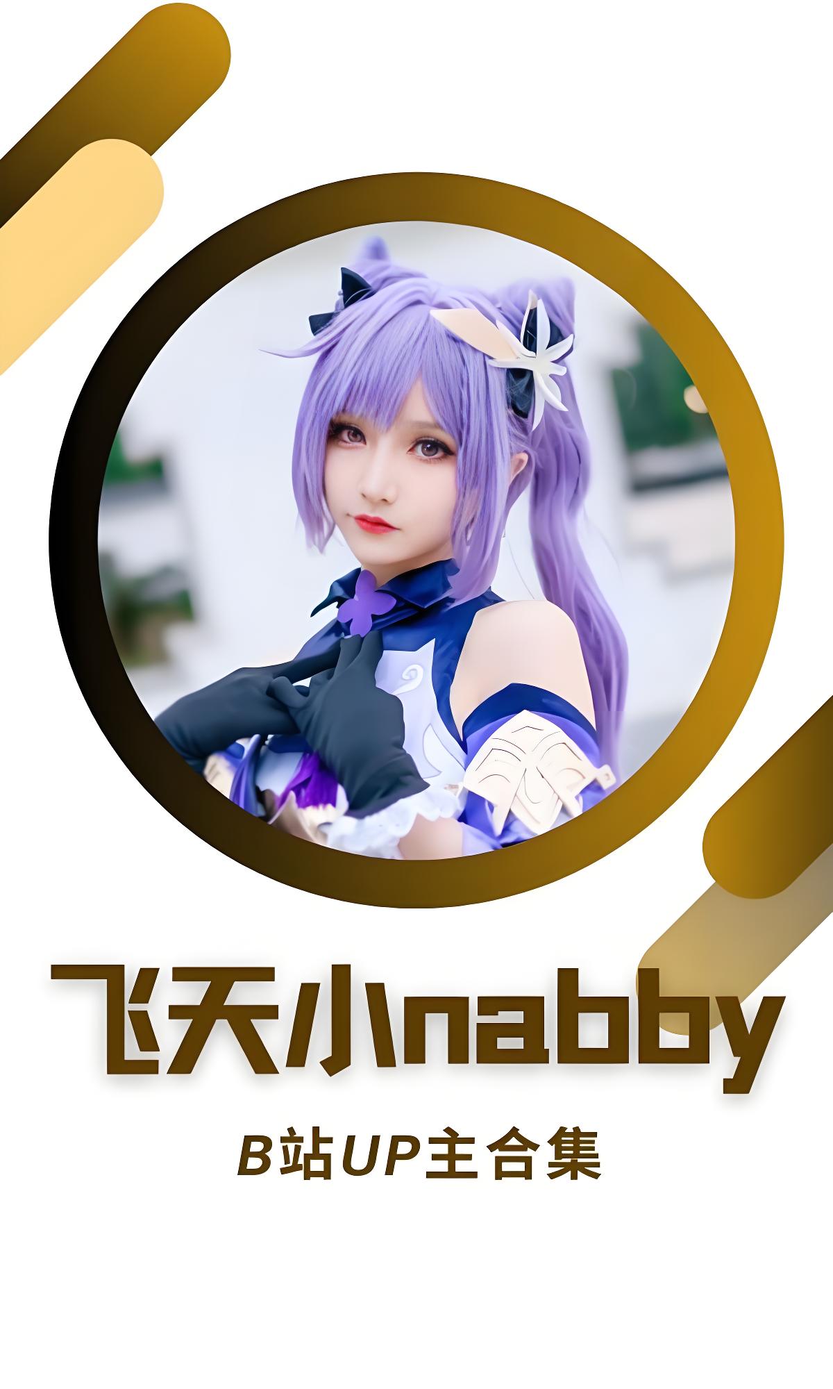 B站「飞天小nabby」作品高质量备份打包