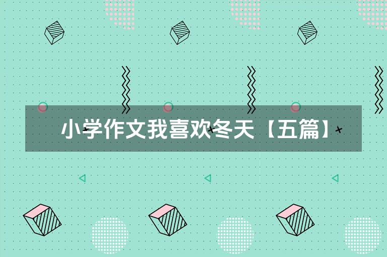 小学作文我喜欢冬天【五篇】
