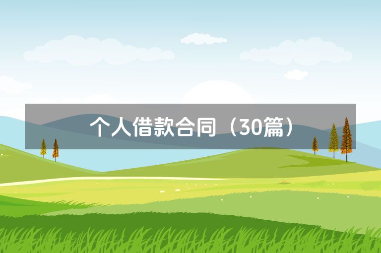 个人借款合同（30篇）