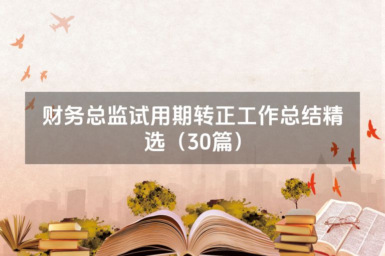 财务总监试用期转正工作总结精选（30篇）
