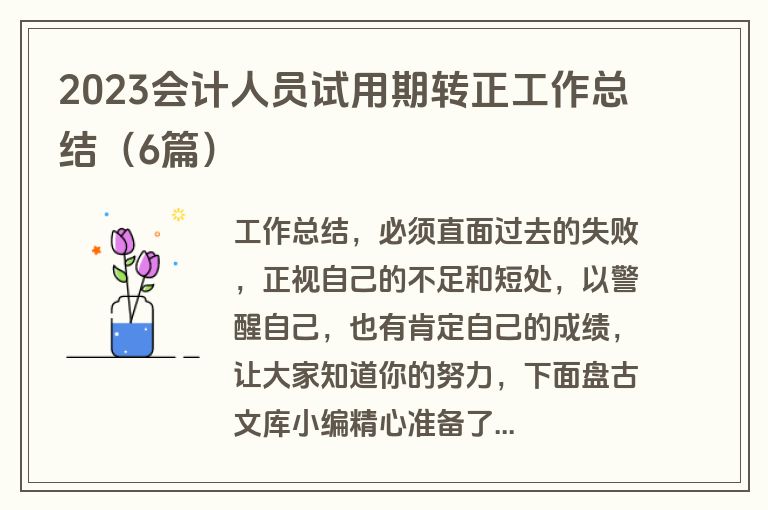 2023会计人员试用期转正工作总结（6篇）