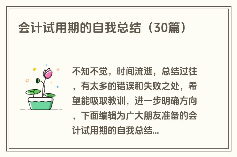 会计试用期的自我总结（30篇）