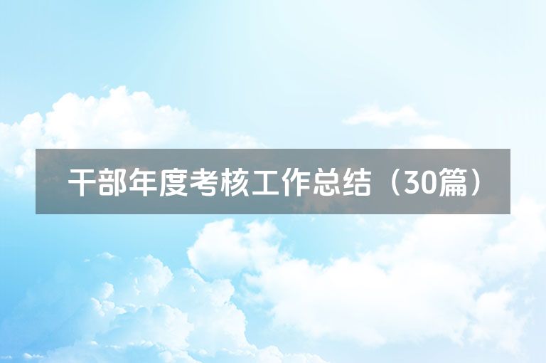 干部年度考核工作总结（30篇）