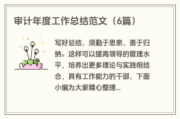 审计年度工作总结范文（6篇）