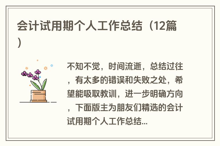 会计试用期个人工作总结（12篇）