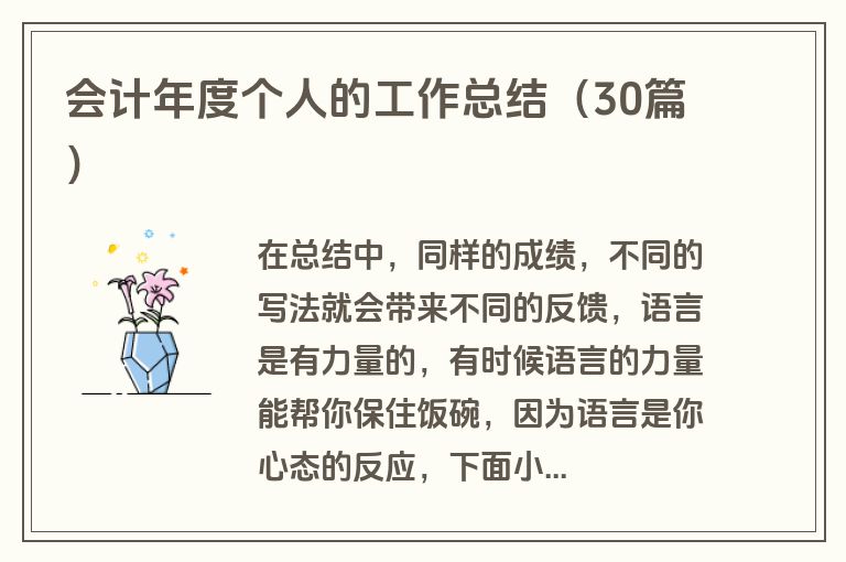 会计年度个人的工作总结（30篇）