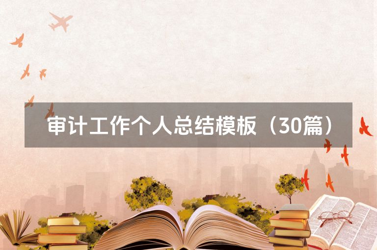 审计工作个人总结模板（30篇）