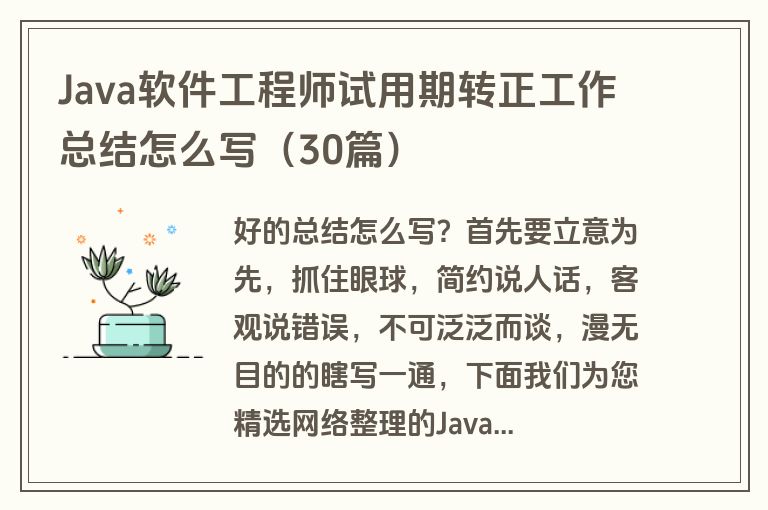 Java软件工程师试用期转正工作总结怎么写（30篇）