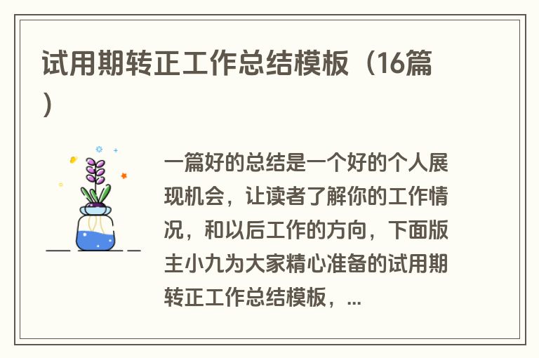 试用期转正工作总结模板（16篇）