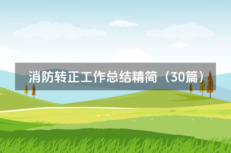 消防转正工作总结精简（30篇）