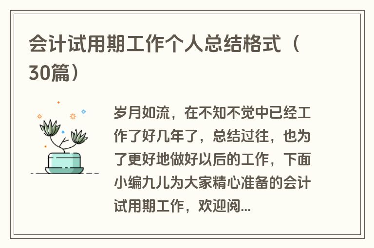 会计试用期工作个人总结格式（30篇）