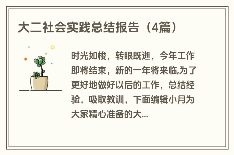 大二社会实践总结报告（4篇）