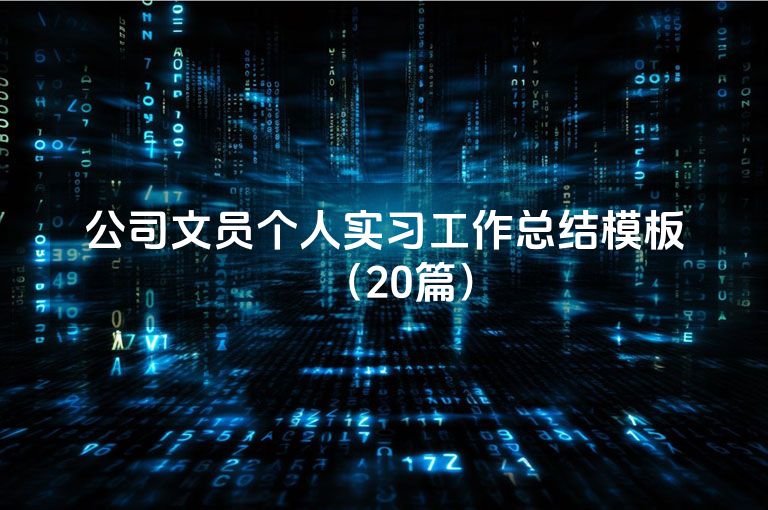 公司文员个人实习工作总结模板（20篇）