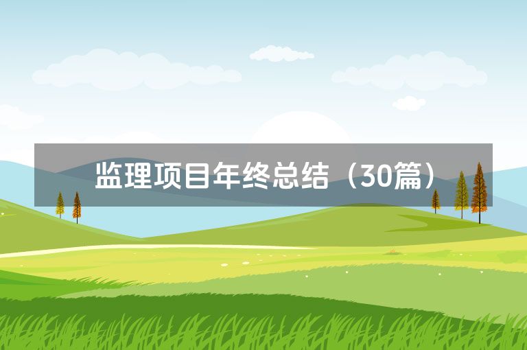 监理项目年终总结（30篇）
