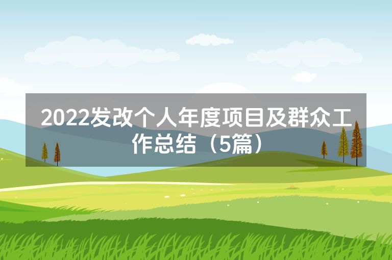 2022发改个人年度项目及群众工作总结（5篇）
