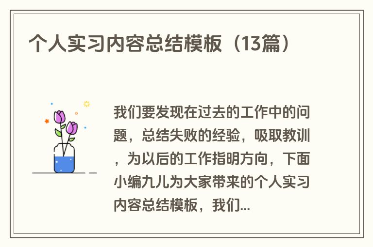 个人实习内容总结模板（13篇）