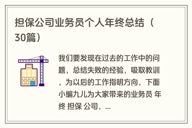 担保公司业务员个人年终总结(30篇)