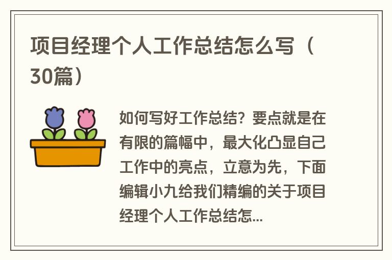 项目经理个人工作总结怎么写（30篇）
