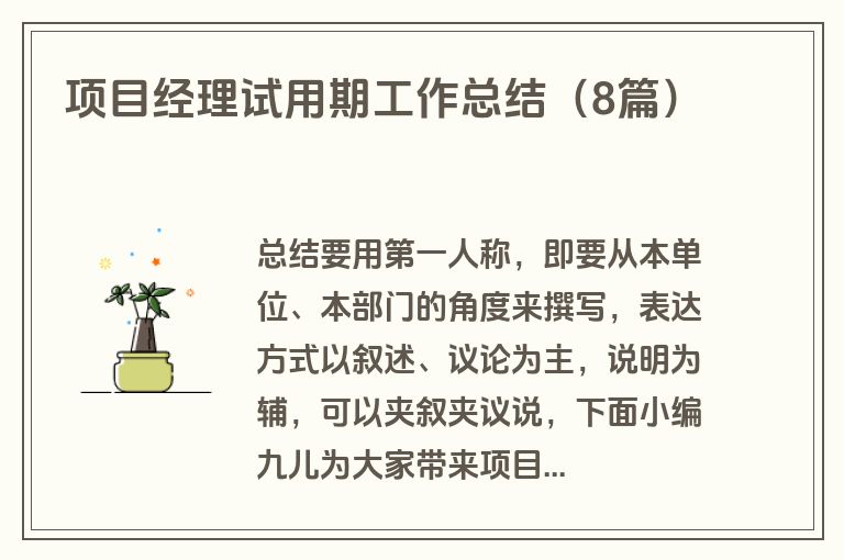 项目经理试用期工作总结（8篇）