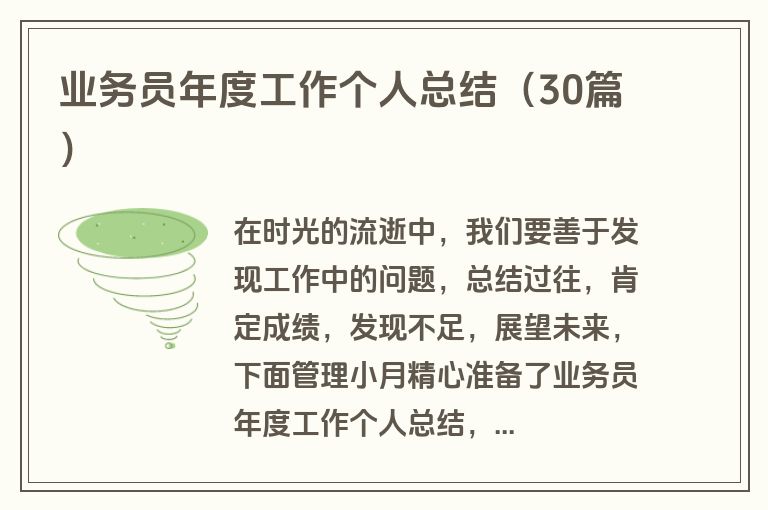 业务员年度工作个人总结（30篇）