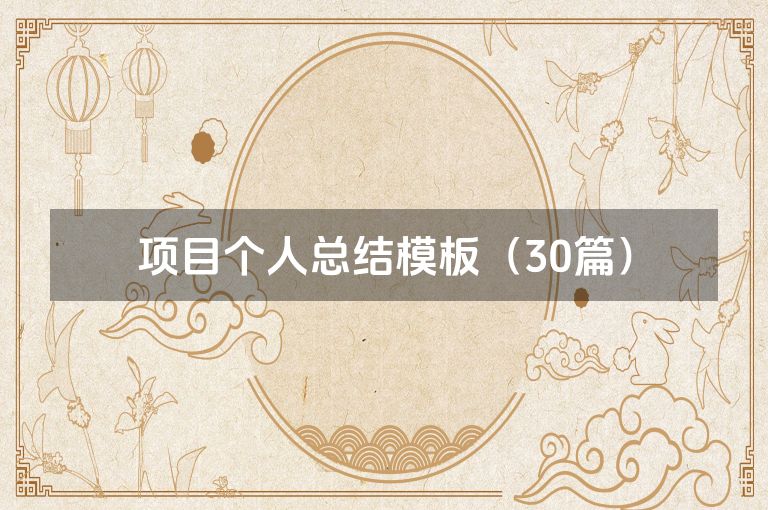 项目个人总结模板（30篇）