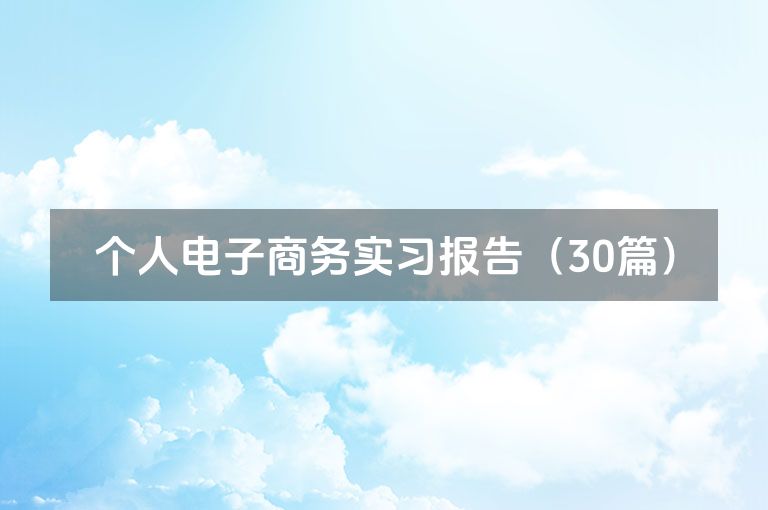 个人电子商务实习报告（30篇）