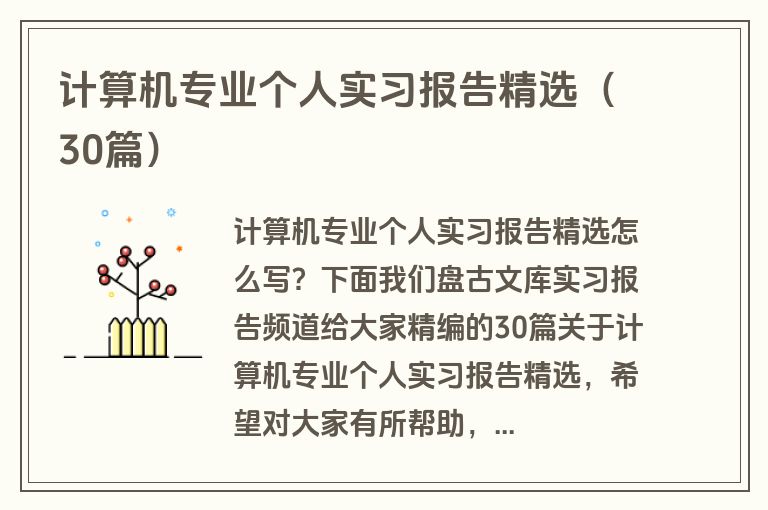 计算机专业个人实习报告精选（30篇）