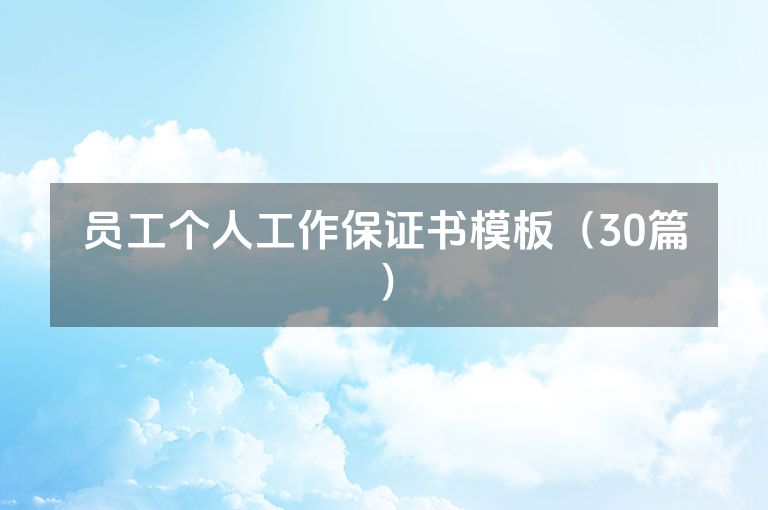 员工个人工作保证书模板（30篇）