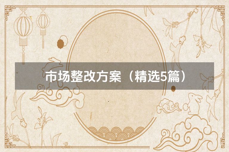 市场整改方案（精选5篇）